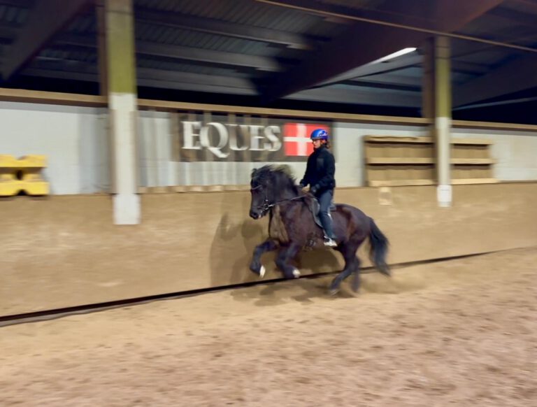 e0933087-7e97-47be-b050-cb192856b8b3